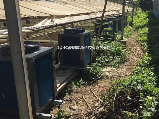 武汉农科院鳜D苗恒温养D? width=